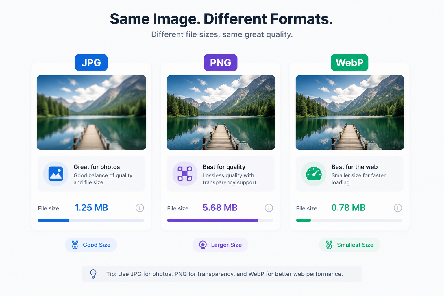 The same image as JPG, PNG, and WebP with file sizes