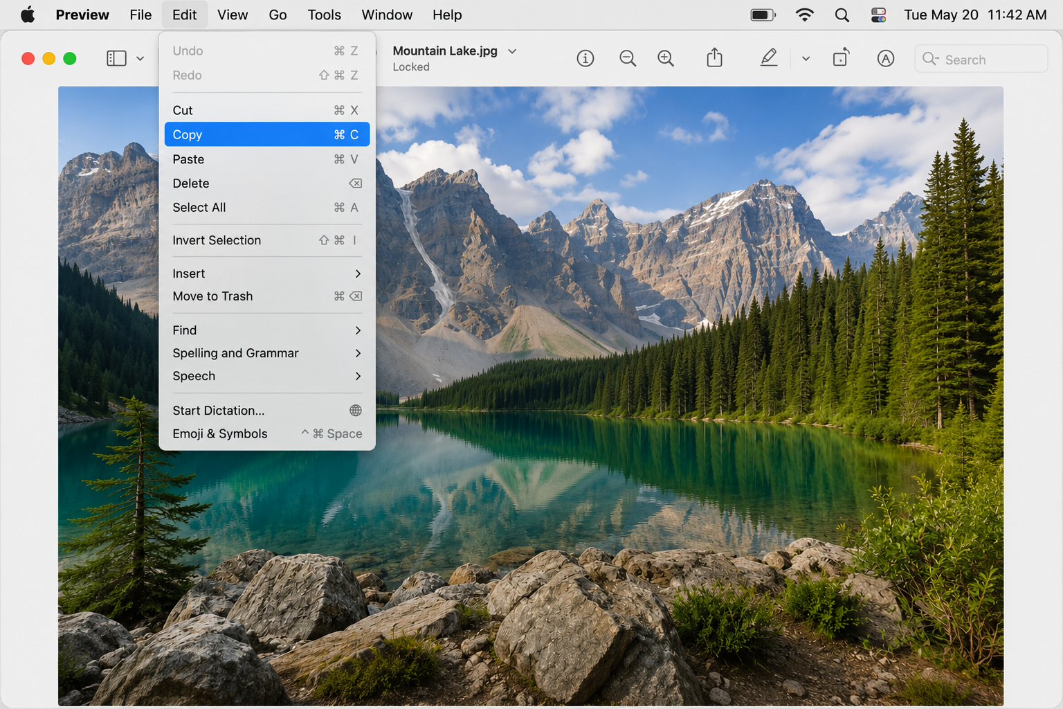 mac-preview-copy-image.png